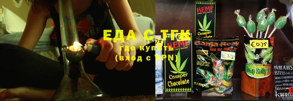 спиды Богородицк