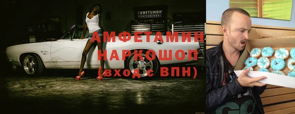 спиды Богородицк
