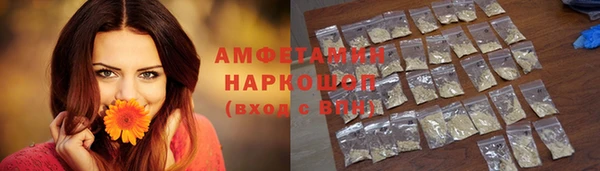 спиды Богородицк