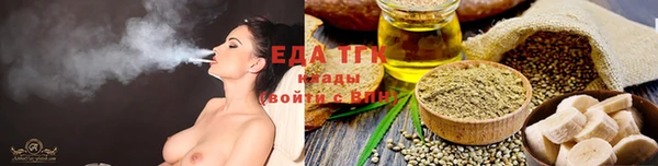 спиды Богородицк
