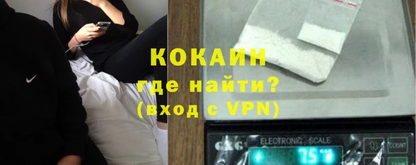 дживик Белокуриха