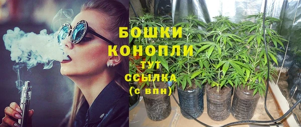 спиды Богородицк