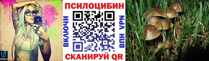 Псилоцибиновые грибы Magic Shrooms Пионерский